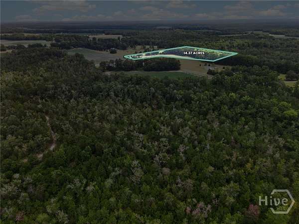 14 Acres of Land for Sale in Springfield, Georgia