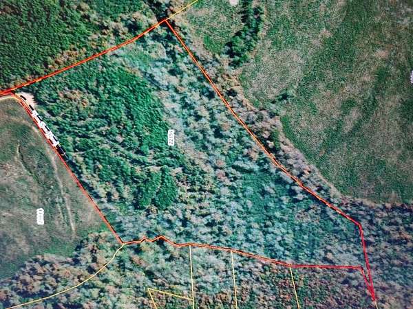 42.2 Acres of Recreational Land for Sale in Nathalie, Virginia
