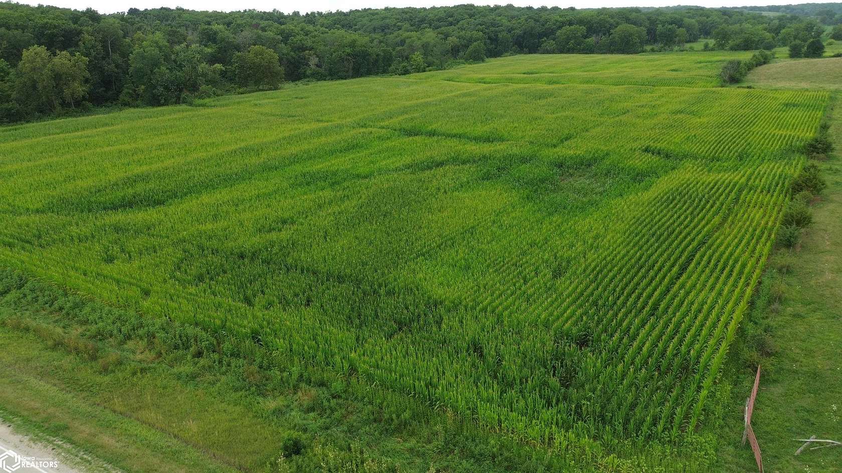 21 Acres of Land for Sale in Bloomfield, Iowa