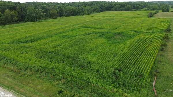 21 Acres of Land for Sale in Bloomfield, Iowa