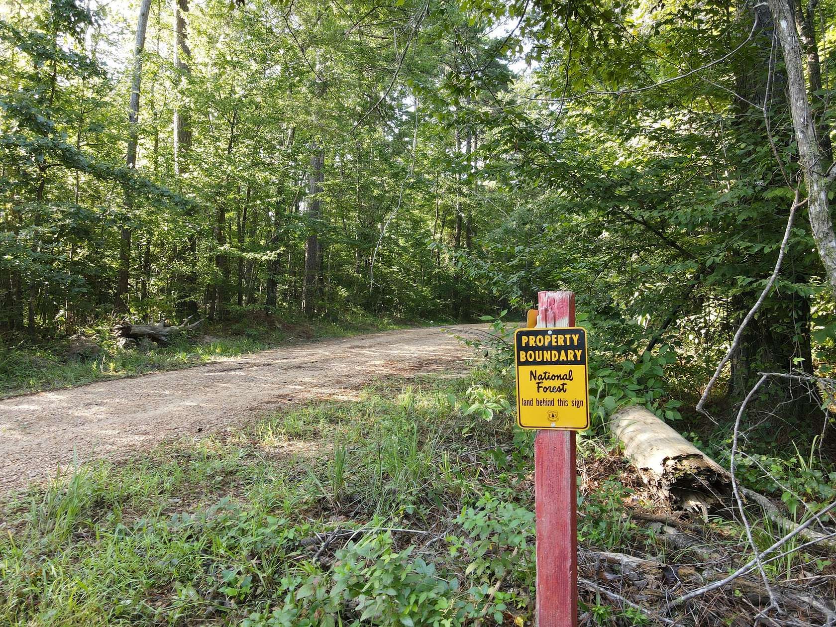 55.7 Acres of Land for Sale in Union Church, Mississippi
