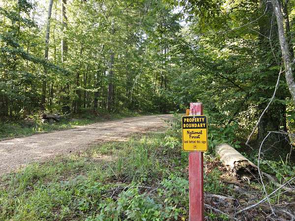 55.7 Acres of Land for Sale in Union Church, Mississippi