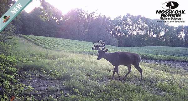 77 Acres of Land for Sale in Marcellus, Michigan