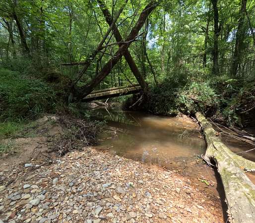 154 Acres of Land for Sale in Union Church, Mississippi