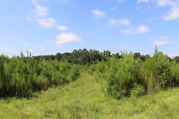 75 Acres of Land for Sale in Chadbourn, North Carolina