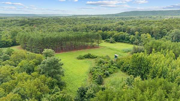 55 Acres of Land for Sale in Palmer, Tennessee