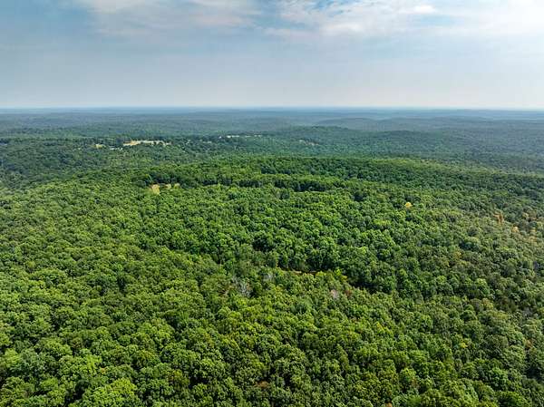 200 Acres of Recreational Land for Sale in Ravenden, Arkansas