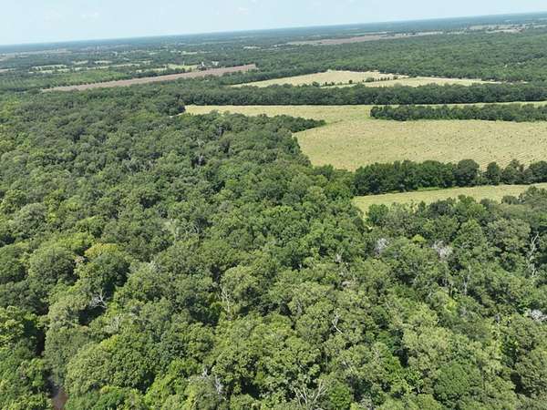 78 Acres of Recreational Land for Sale in Baskin, Louisiana