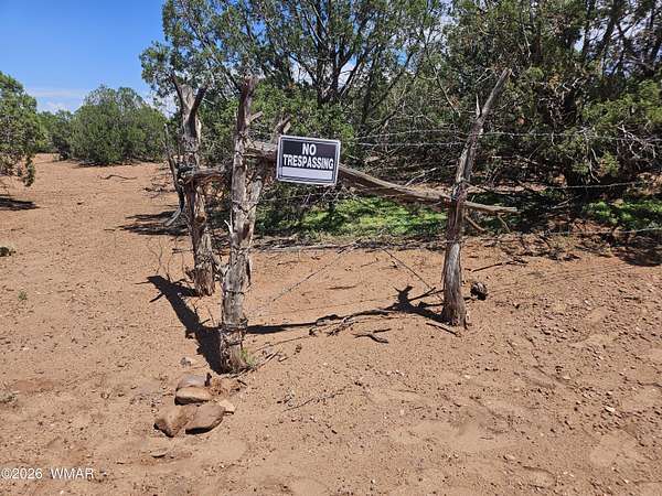73.8 Acres of Recreational & Residential Land for Sale in Snowflake, Arizona