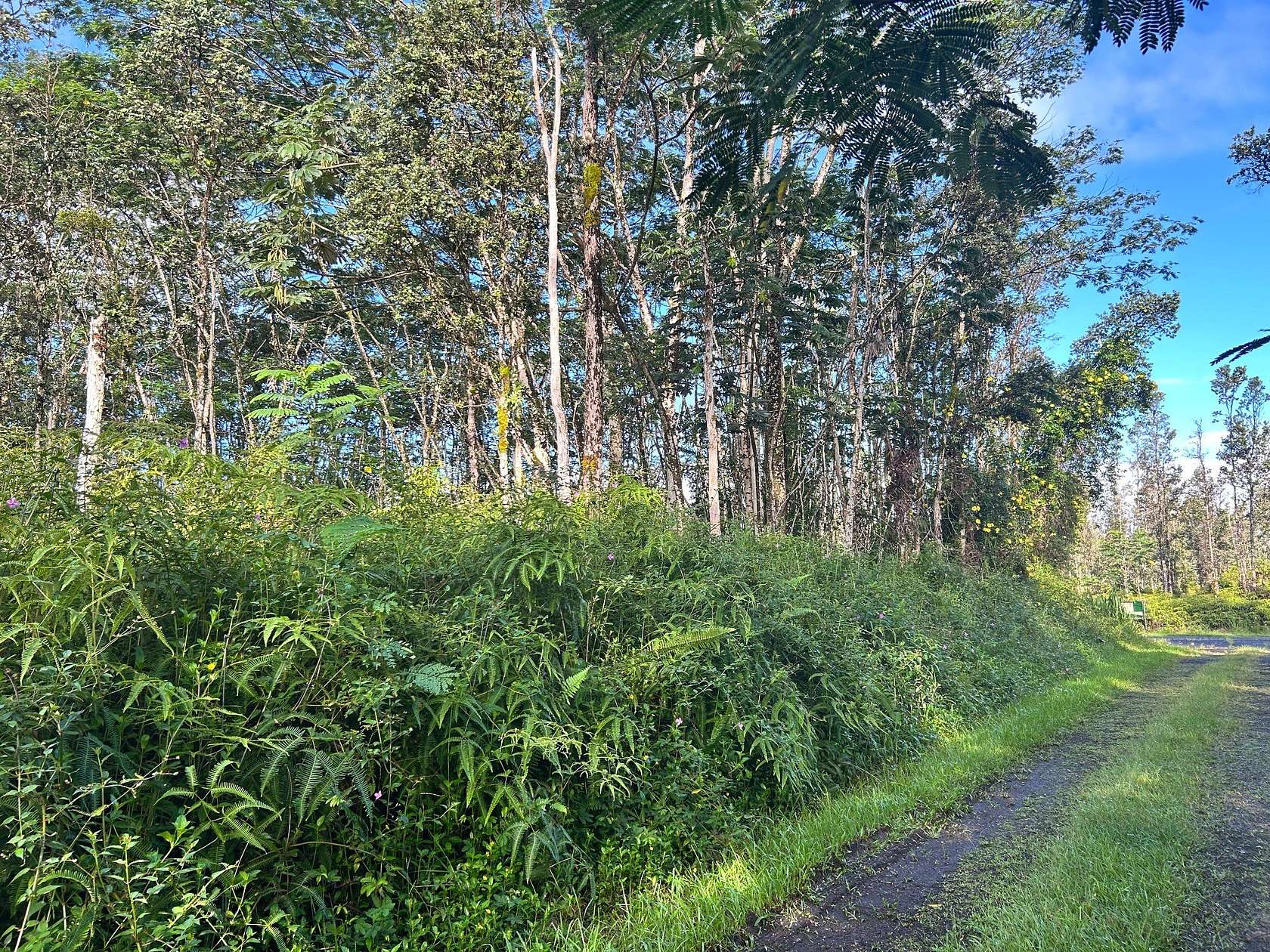 0.19 Acres of Residential Land for Sale in Pahoa, Hawaii
