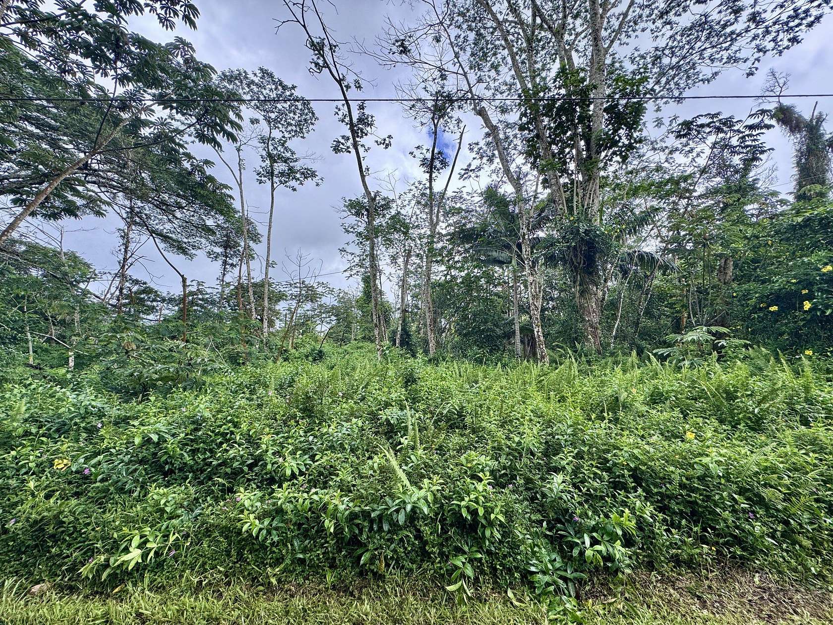 0.19 Acres of Residential Land for Sale in Pahoa, Hawaii