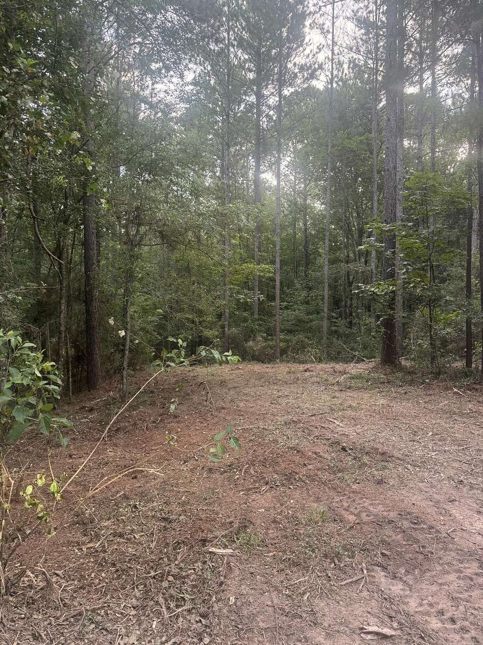 20 Acres of Recreational & Residential Land for Sale in Petal, Mississippi
