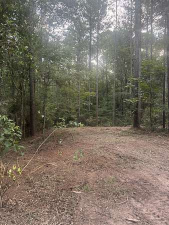 20 Acres of Recreational & Residential Land for Sale in Petal, Mississippi