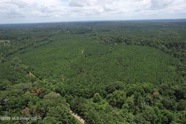 124 Acres of Recreational & Residential Land for Sale in Raleigh, Mississippi