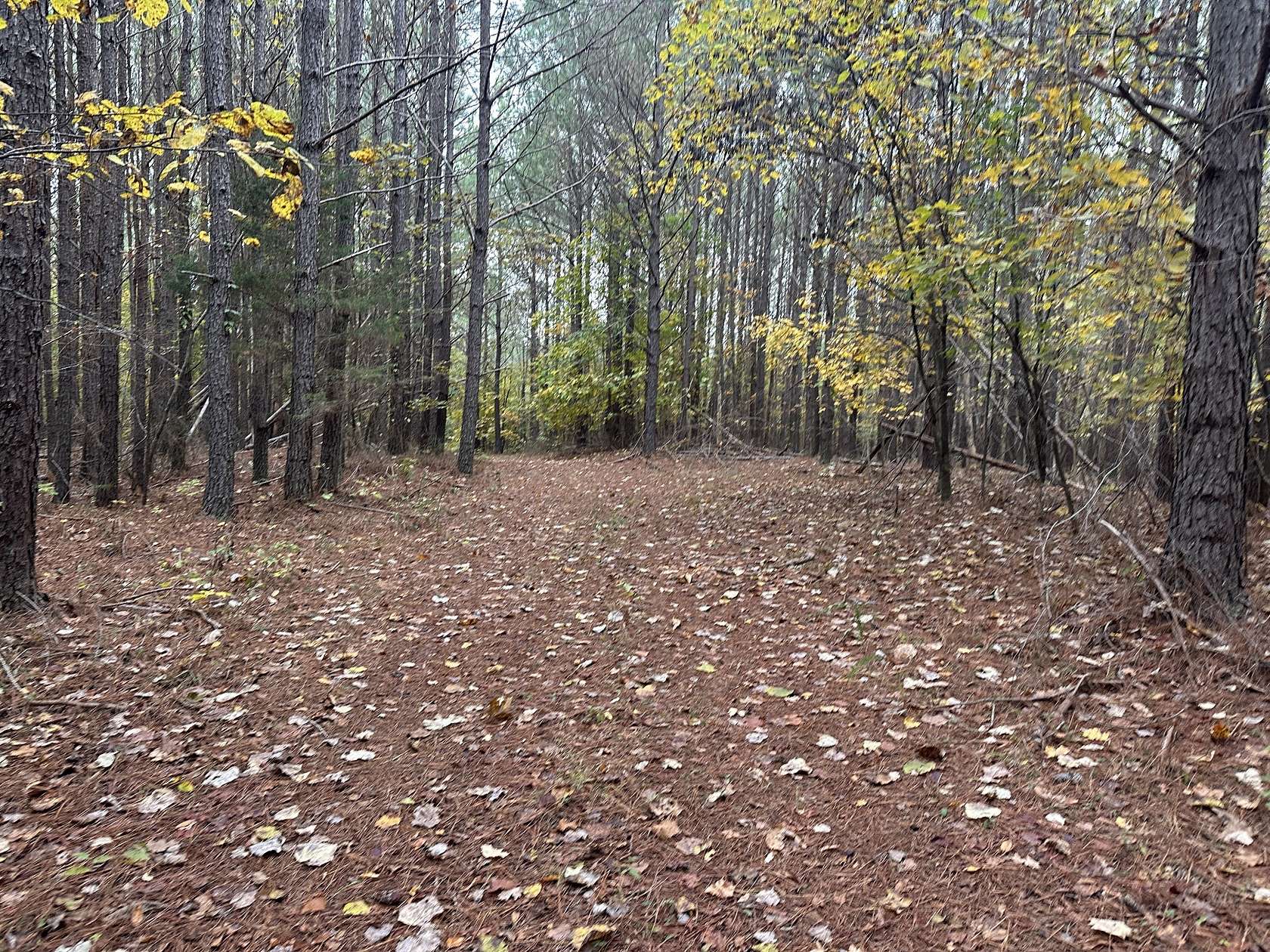 65 Acres of Recreational & Residential Land for Sale in Linden, Tennessee