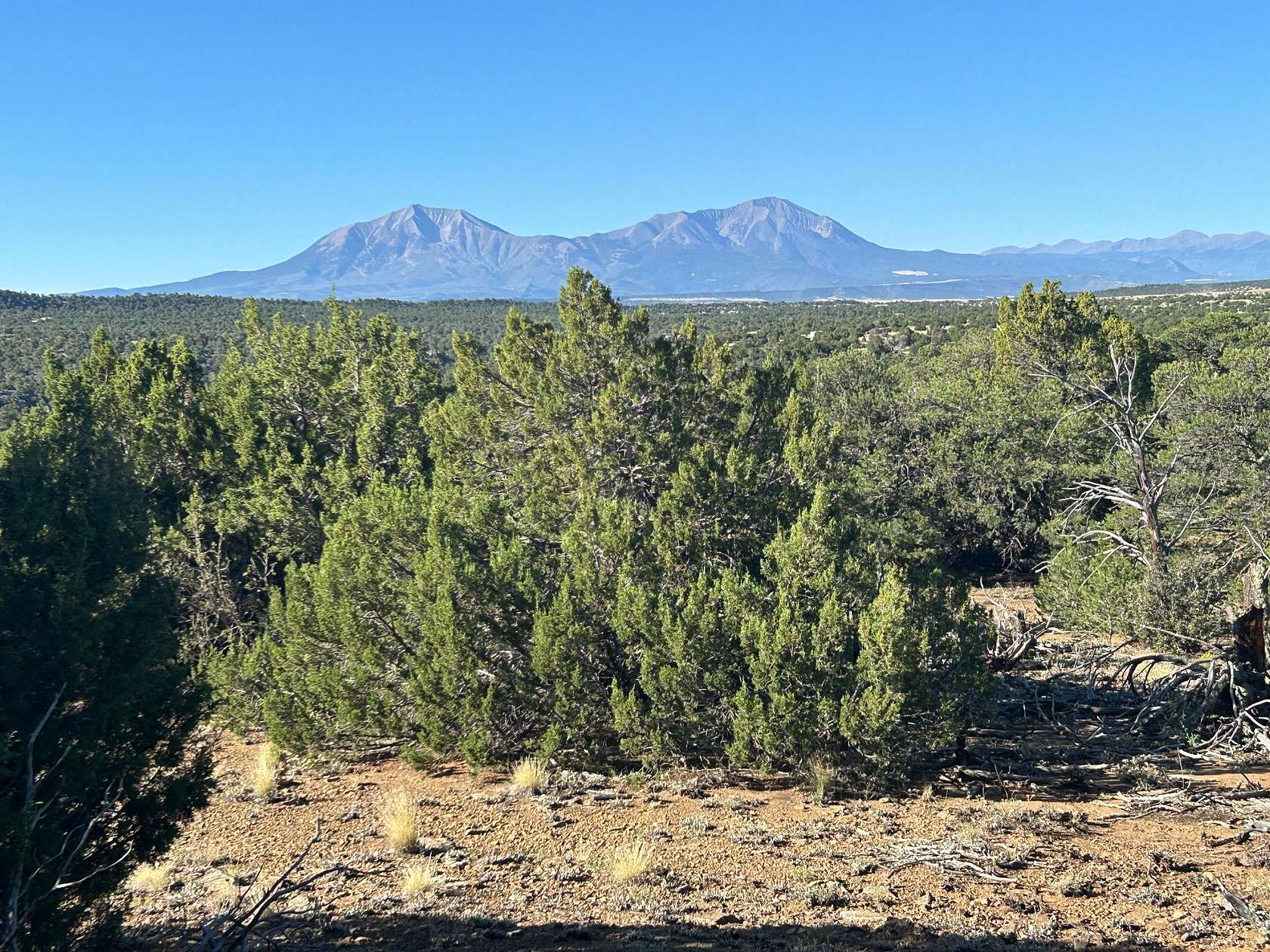 35 Acres of Land for Sale in Walsenburg, Colorado