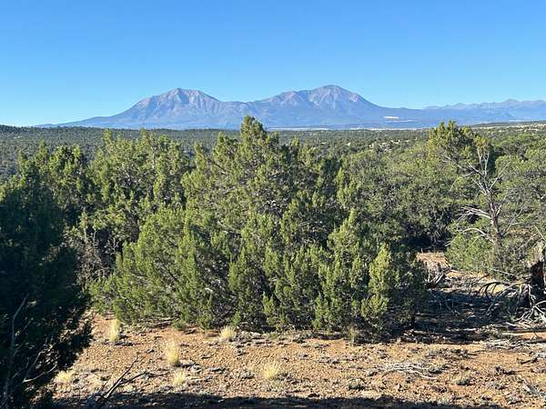 35 Acres of Land for Sale in Walsenburg, Colorado