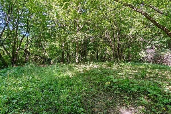 5.83 Acres of Residential Land for Sale in Buffalo, Minnesota