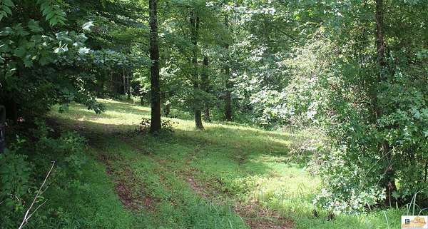 7.87 Acres of Residential Land for Sale in Lucas, Kentucky