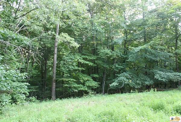 7.87 Acres of Residential Land for Sale in Lucas, Kentucky