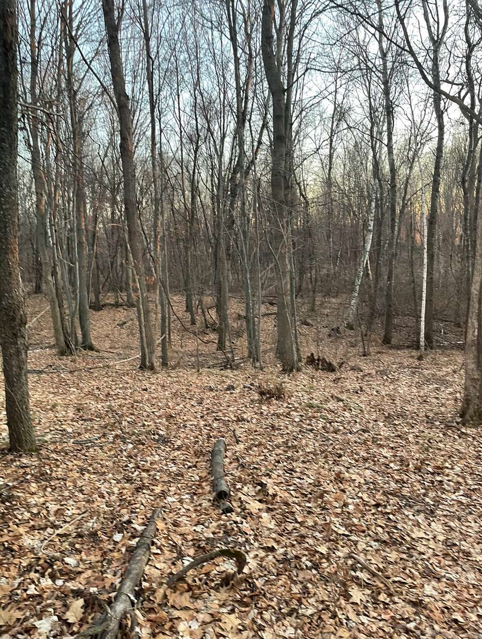 5 Acres of Land for Sale in Eureka Center, Wisconsin