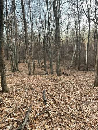 5 Acres of Land for Sale in Eureka Center, Wisconsin