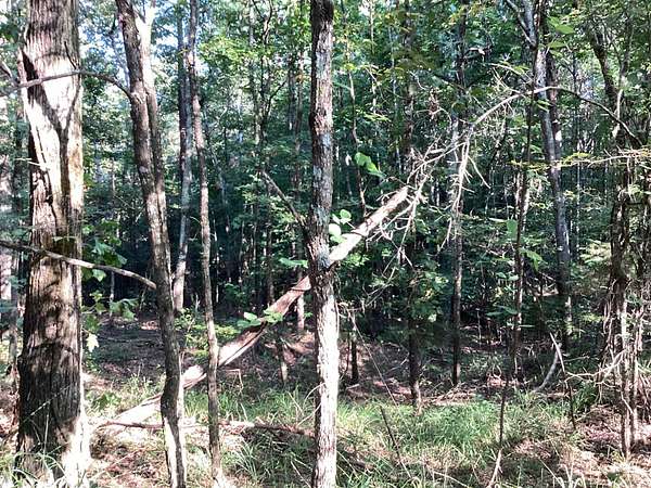 20 Acres of Land for Sale in Philadelphia, Mississippi