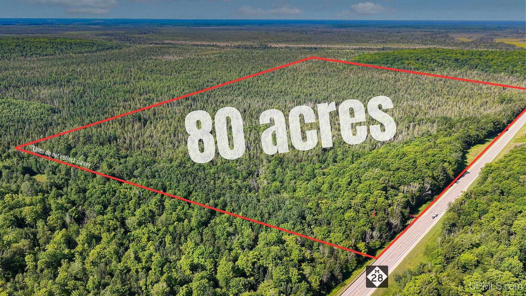 80 Acres of Recreational & Residential Land for Sale in McMillan, Michigan