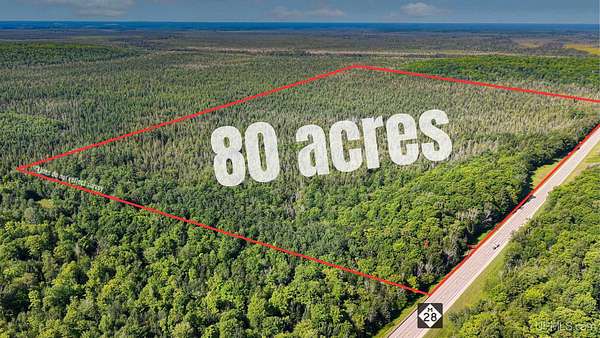 80 Acres of Recreational & Residential Land for Sale in McMillan, Michigan