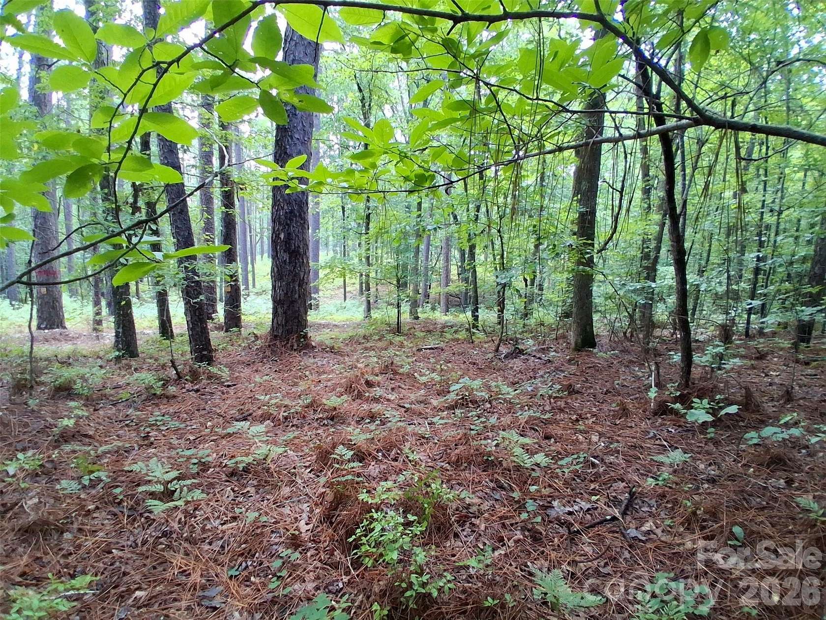 5.87 Acres of Residential Land for Sale in Mount Gilead, North Carolina
