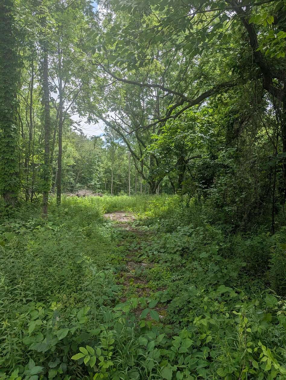 11.3 Acres of Recreational & Residential Land for Sale in Bangor, Michigan