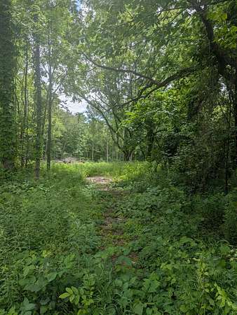 11.3 Acres of Recreational & Residential Land for Sale in Bangor, Michigan