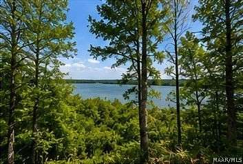 8.25 Acres of Land for Sale in Alberta, Alabama