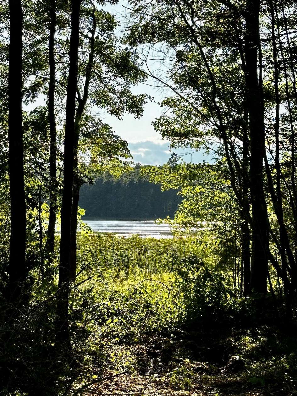8.13 Acres of Residential Land for Sale in Jefferson, Maine