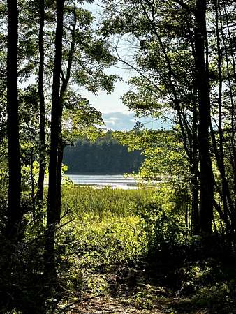 8.13 Acres of Residential Land for Sale in Jefferson, Maine
