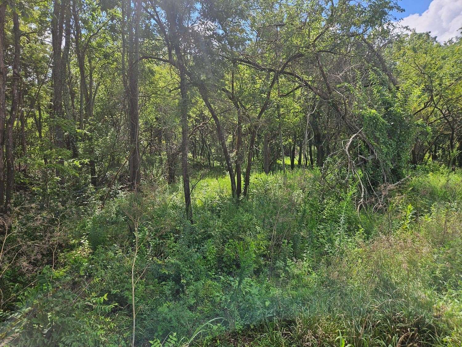 3.62 Acres of Residential Land for Sale in Vevay, Indiana