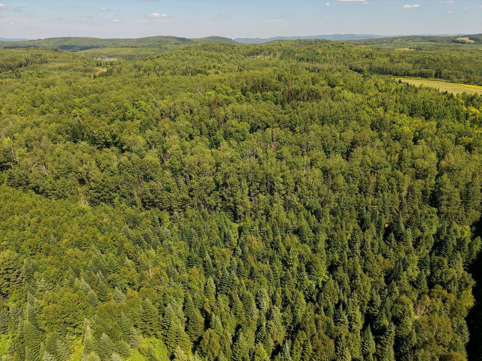 90 Acres of Land for Sale in Fort Fairfield, Maine