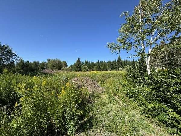90 Acres of Land for Sale in Fort Fairfield, Maine
