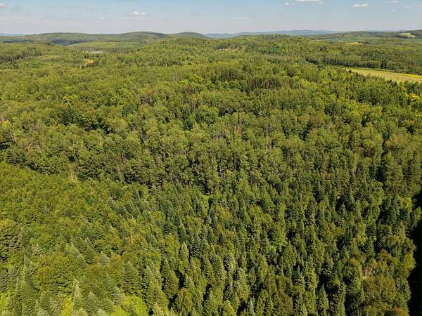 90 Acres of Land for Sale in Fort Fairfield, Maine