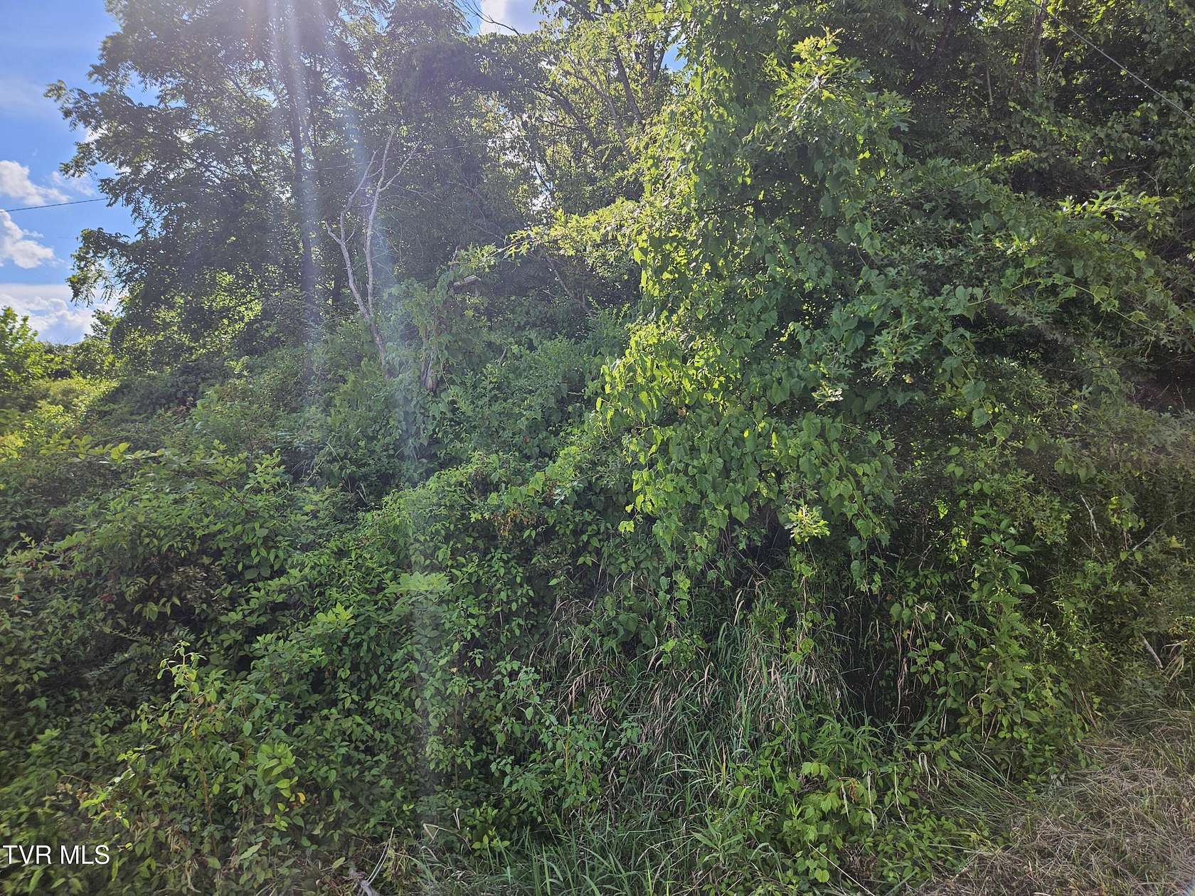 0.1 Acres of Residential Land for Sale in Coeburn, Virginia