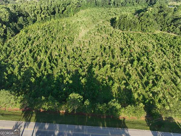 59.8 Acres of Recreational & Residential Land for Sale in Portal, Georgia