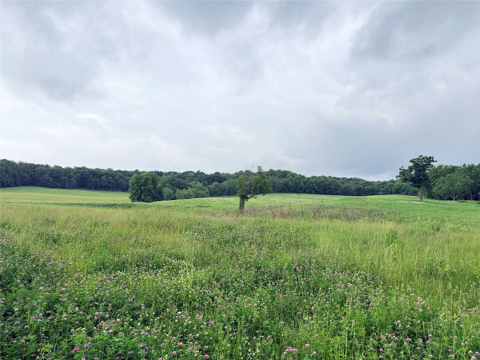 6.52 Acres of Residential Land for Sale in Fall Creek, Wisconsin