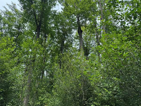 40 Acres of Recreational Land for Sale in Marshfield, Wisconsin