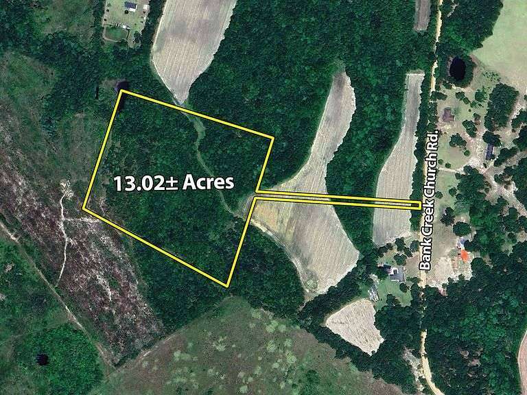 13 Acres of Recreational & Residential Land for Auction in Portal, Georgia