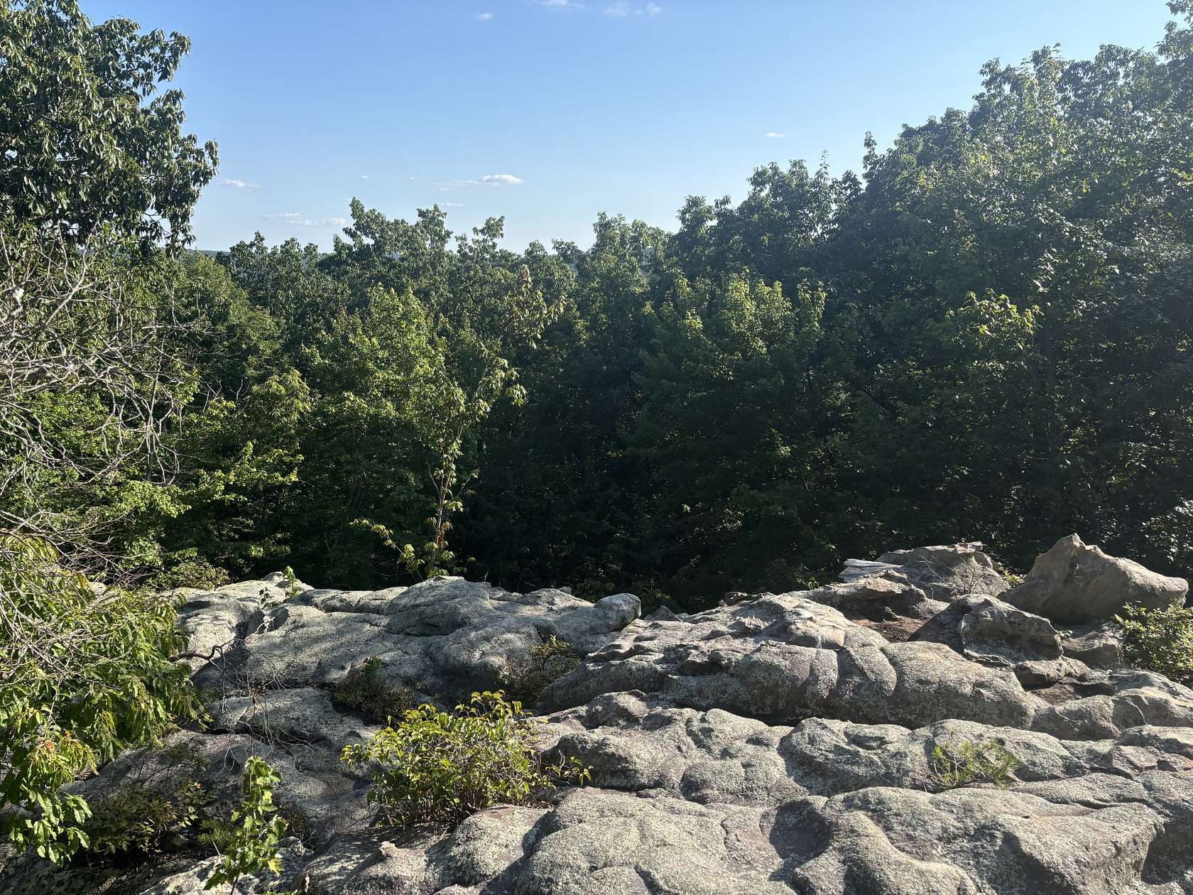 12.2 Acres of Recreational & Residential Land for Sale in Spring City, Tennessee