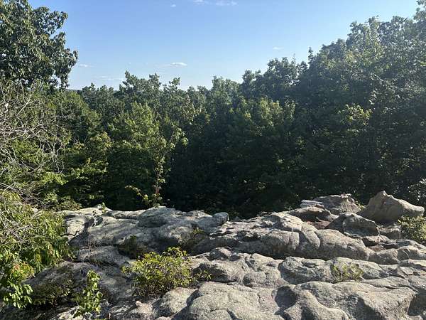 12.2 Acres of Recreational & Residential Land for Sale in Spring City, Tennessee