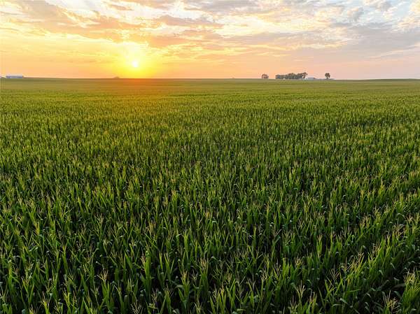 160 Acres of Agricultural Land for Auction in Pilot Mound, Iowa