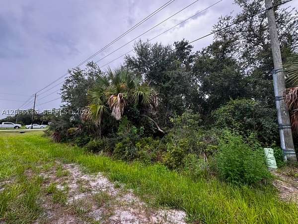 0.24 Acres of Residential Land for Sale in Port Charlotte, Florida