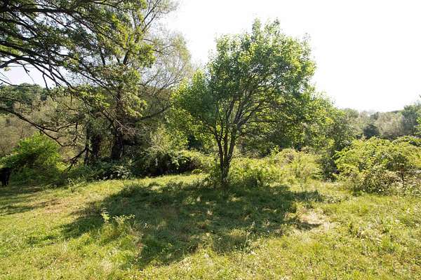 40 Acres of Land for Sale in Ridgeway, Wisconsin