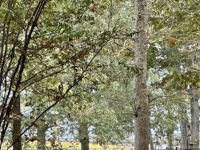 0.22 Acres of Residential Land for Sale in Hemphill, Texas